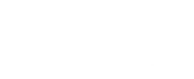 bavAIRia